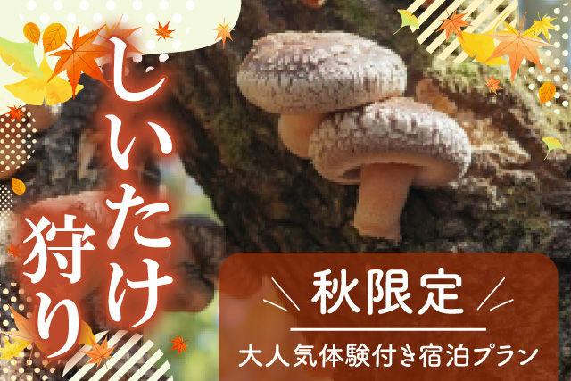 蓼科パークホテル しいたけ狩りプラン 宿泊