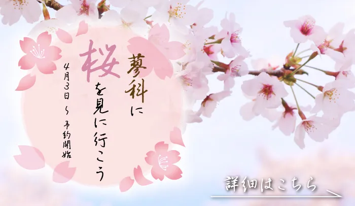 蓼科パークホテル 宿泊 お花見プラン 桜