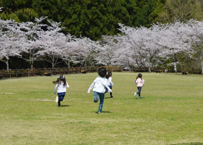 夏休み限定 ファミリープラン 宿泊 手持ち花火プレゼント