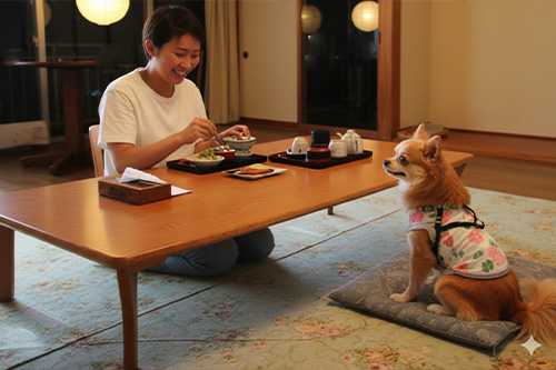 コテージで楽しむ持ち込みディナー