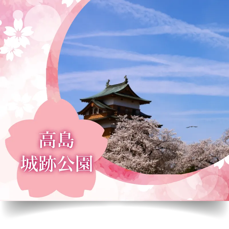 高島城跡公園 桜