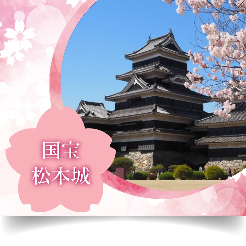 国宝松本城 桜