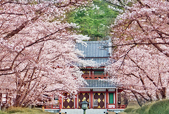 蓼科山聖光寺